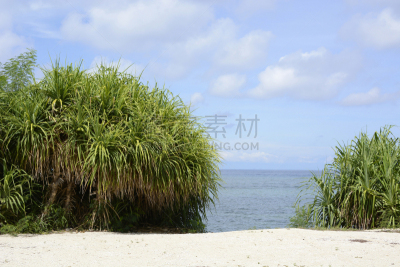 岛,海洋,海岸线,草类,鸡尾酒,植物群,蓝色,云,阿瓦隆沙滩,八打雁省