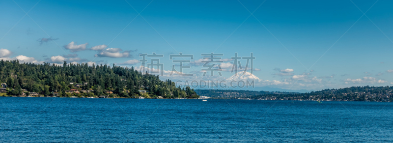 湖,雷尼尔雪山,两只动物,水,水平画幅,地形,西雅图,无人,全景,户外