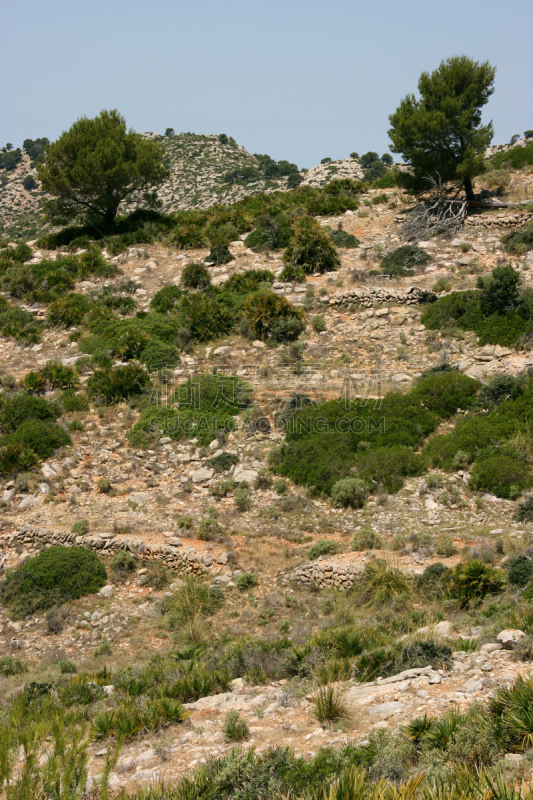 特拉华,徒步旅行,西班牙,马略卡,垂直画幅,puerto de soller,水平画幅,户外,石材,干的