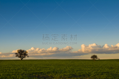 地形,潘帕斯大草原,自然,南美,天空,阿根廷,水平画幅,绿色,蓝色,巴塔哥尼亚