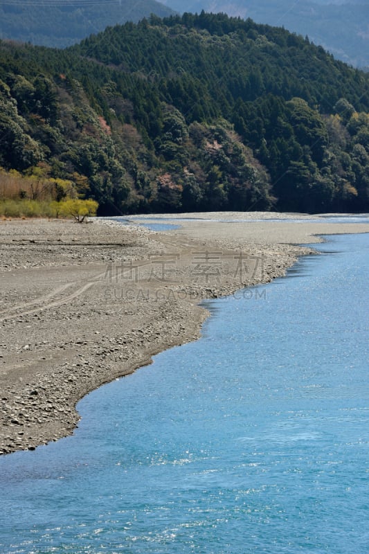 大井河,静冈县,垂直画幅,水,春天,无人,水面,河流,本州岛中部地区,户外