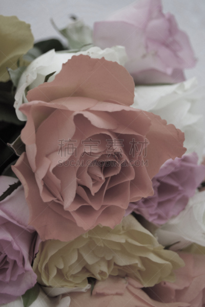 蜡笔画,玫瑰,自然美,彩色蜡笔,自然,垂直画幅,简单,图像,柔和色,无人