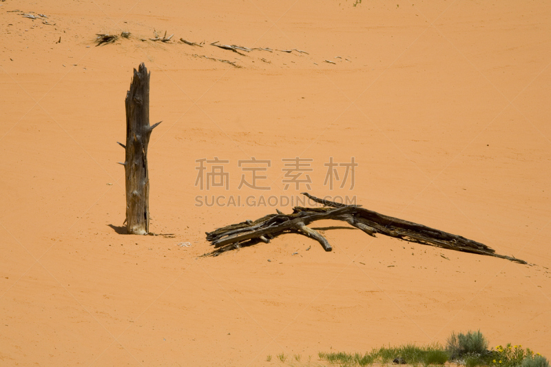 沙丘,粉色,珊瑚,珊瑚红沙丘州立公园,浮木,自然,公园,非都市风光,水平画幅,地形