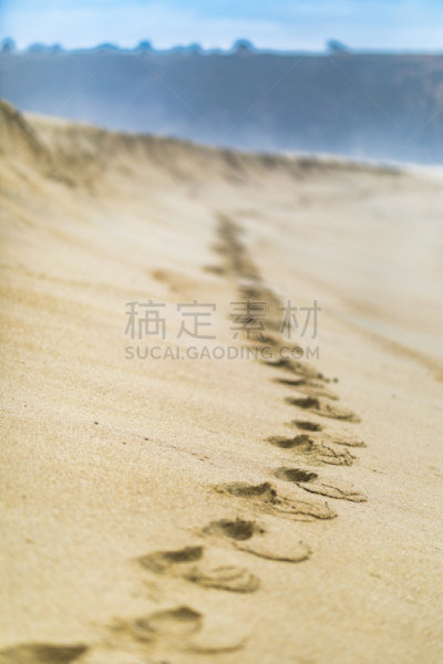 自然,非凡的,地平线,瓦尔帕莱索大区,脚印,沙子,智利,地形,海滩,无限