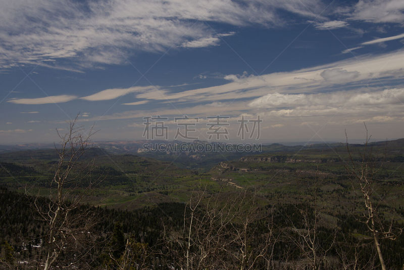 犹他,风景,大角山观光道,白杨类,自然,天空,美国,水平画幅,地形,无人