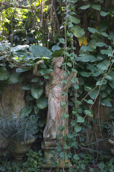 苔藓,雕塑,园林,丘比特,垂直画幅,鸟类,湿,户外,哥特式风格,希腊