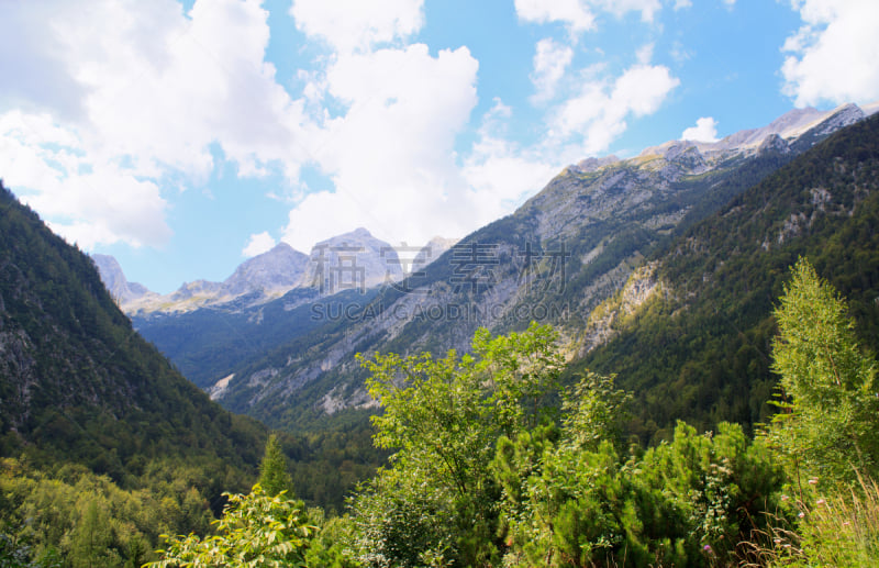 Julian Alps,自然,草地,宁静,非都市风光,水平画幅,地形,木制,无人,欧洲