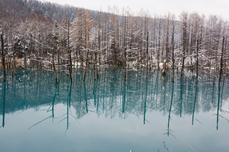 冬天,池塘,早晨,美瑛町,青绿色,贺卡,留白,水平画幅,雪,无人