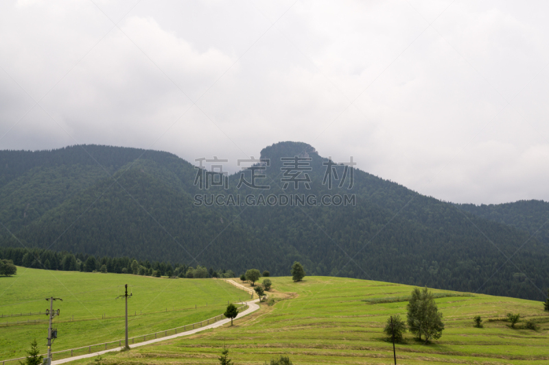 草地,斯洛伐克,山脉,风景,日利纳,自然,田地,水平画幅,无人,户外