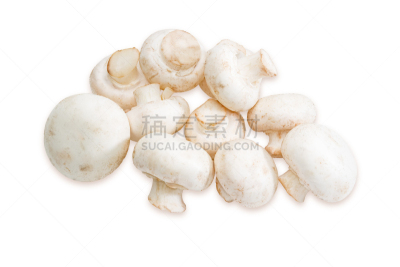 蘑菇,食用菌,背景,轻的,堆,野菇,白蘑菇,餐具,自然,住宅房间
