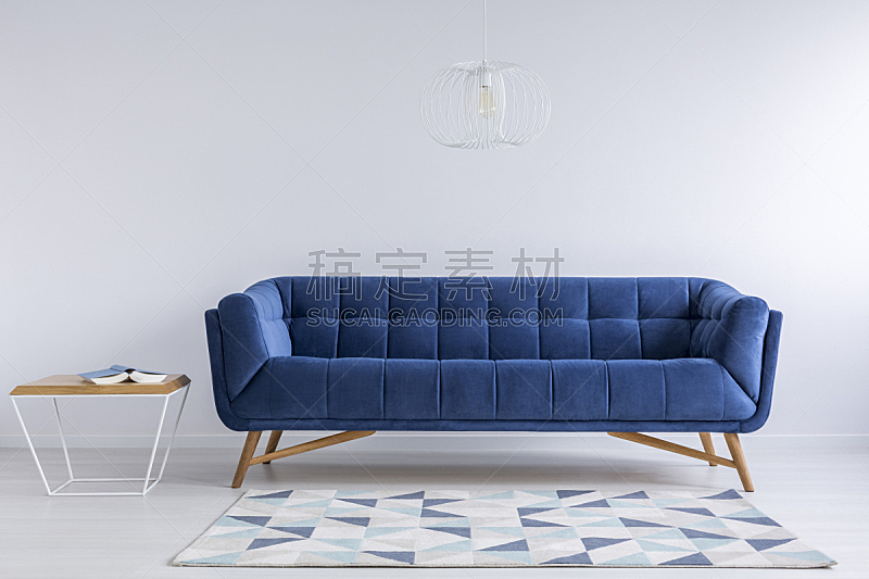 沙发,蓝色,舒服,起居室,模仿动物,留白,新的,水平画幅,无人