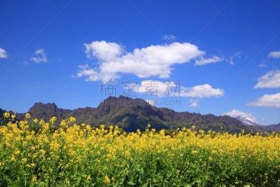 田地,山,油菜花,天空,里山,纯净,四季,农作物,著名景点