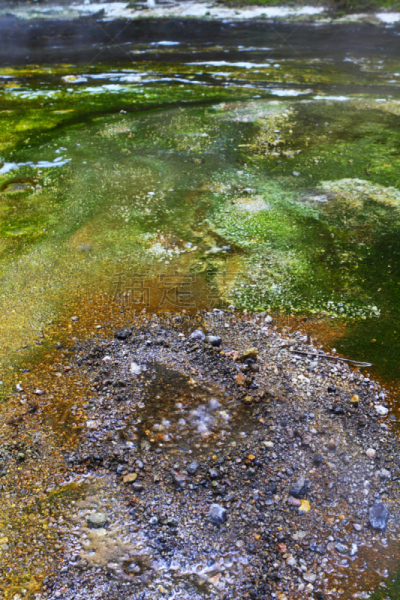 色彩鲜艳,温泉,waimangu thermal park,罗托鲁阿,方解石,硅石,硫磺,间歇泉,垂直画幅,水