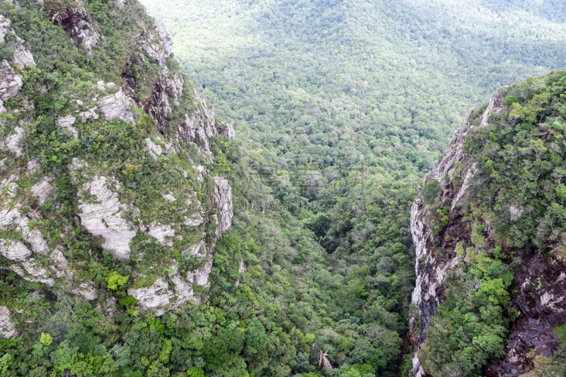 山,森林,雾,西,白昼,浮罗交怡岛,自然,水平画幅,地形,无人