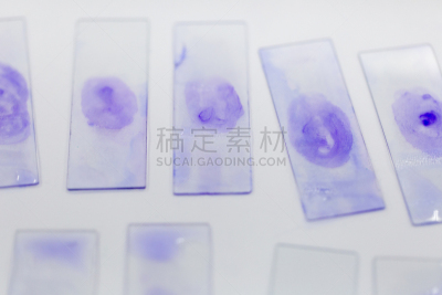微生物学,实验室,肮脏的,技能,生物科技,水平画幅,科学实验,科学,生物学,工具台