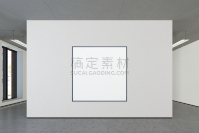 空白的,画廊的开幕式,正面视角,留白,边框,艺术,水平画幅,墙,无人