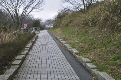 越前,福井县,北陆地区,堺市,水平画幅,无人,日本,本州岛中部地区,摄影