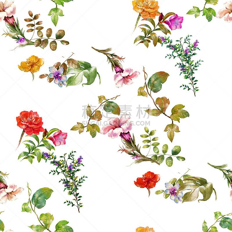 叶子,水彩画颜料,四方连续纹样,木槿属,植物学,常春藤,兰花,无人,绘画插图
