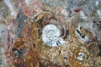 石头,化石,背景,宝石,水平画幅,墙,平视角,玛瑙,石材,特写