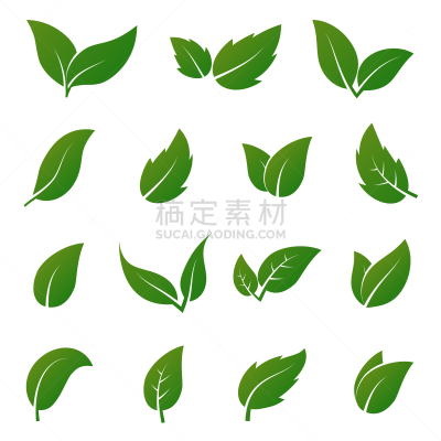 符号,叶子,矢量,绿色,春天,环境,计算机图标,艺术,形状,绘画插图