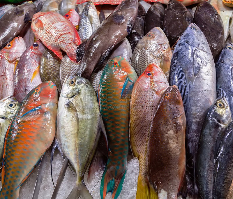 海产,鱼类,鱼市,酸,水平画幅,银色,生食,膳食,捕捞鱼,动物身体部位