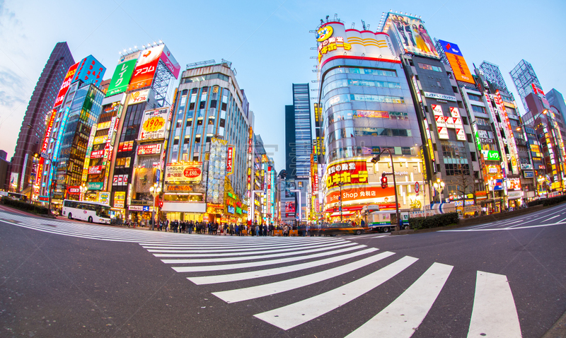 新宿区,日本,城市生活,歌舞伎町,歌舞伎,病房,水平画幅,夜晚,交通,行人