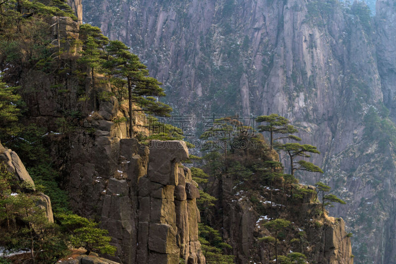 黄山山脉,安徽省,松树,中国,地形,桨叉架船,一只动物,中国东部,旅游