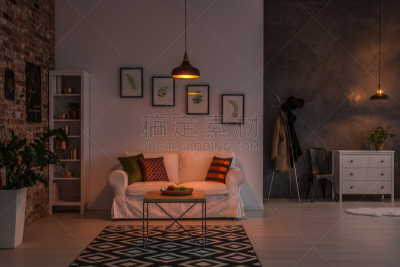 起居室,开着的,夜晚,情绪板,暗色,沙发,抽屉柜,服装店,梯子,铜
