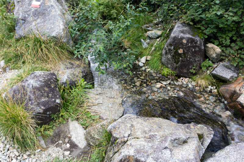 国家公园,摩德纳迪坎皮格里奥,度假胜地,水平画幅,雪,无人,夏天,户外,湖,草