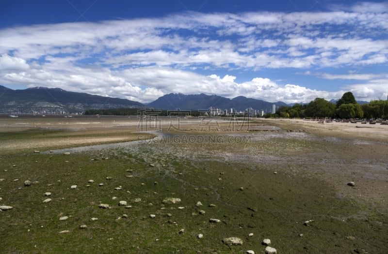 都市风景,海滩,温哥华,水,天空,公园,公元前,水平画幅,沙子,无人