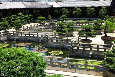 女修道院,唐朝,九龙,灵性,水平画幅,建筑,木制,旅行者,寺庙,亚洲