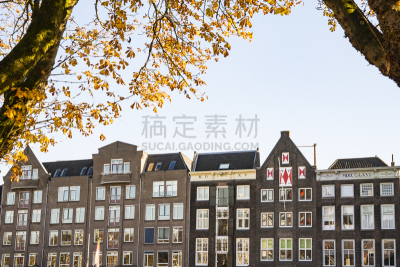 多德雷赫特,房屋,街道,欧洲,公寓,建筑结构,外立面,荷兰南部,图像,荷兰