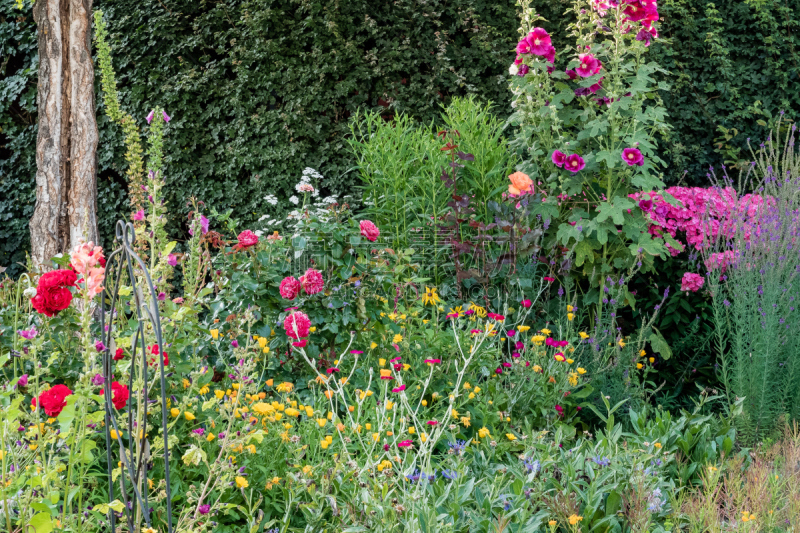 Colorful flower garden in summer. Photograph taken in July in Sonthofen, Allgäu, Germany.