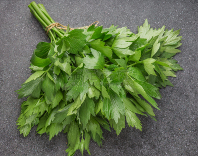 清新,叶子,拉维纪草植物,水平画幅,膳食,夏天,户外,特写,芹菜,植物学