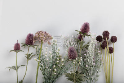 花束,自然美,背景,轻的,野生植物,美,水香花菜,芳香的,水平画幅,无人