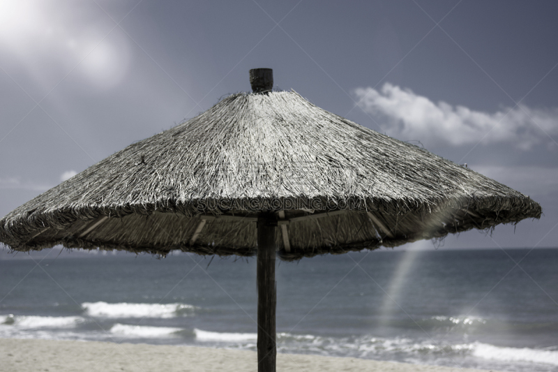 贝壳,波浪,海洋,海滩,撒谎者,自然美,华丽的,水边,青绿色,旅途