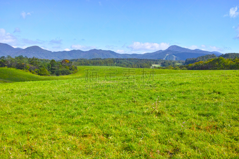 轻井泽町,北岳山,大农场,度假胜地,草原,水平画幅,山,夏天,户外,木板路