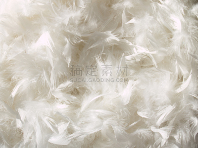 翎毛,白色,背景,羽毛围巾,毛绒绒,水平画幅,无人,周年纪念,柔和,摄影