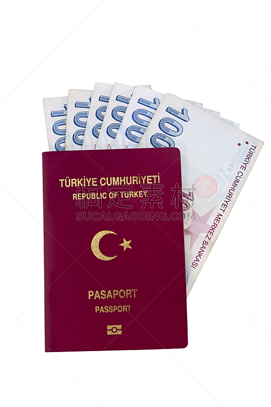护照,土耳其,土耳其里拉,生物识别,垂直画幅,欧洲,商务旅行,白色背景,旅行者,背景分离