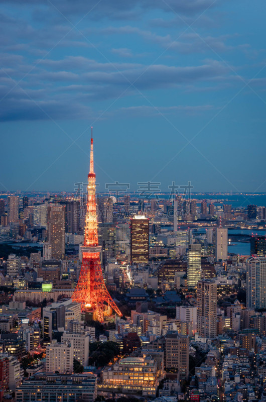 东京,地形,垂直画幅,天空,夜晚,曙暮光,旅行者,六本木森大厦,都市风景,现代