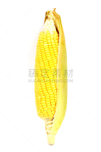 清新,玉米,生食,自然,垂直画幅,甜玉米,无人,外壳,湿,夏天