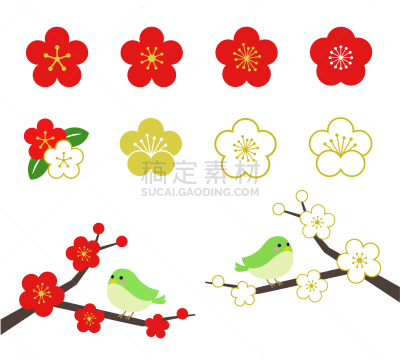 鸟类,计算机图标,小的,李子,可爱的,华丽的,背景分离,北美歌雀,二月,动物
