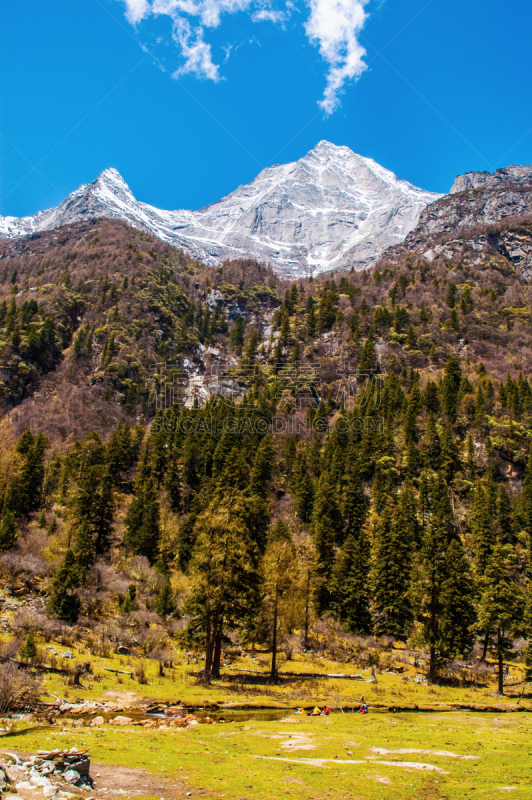 昌平,山谷,四姑娘山,垂直画幅,旅行者,户外,山,牧场,四川省,2015年