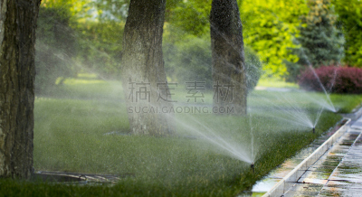 草坪,草,自动的,背景,自动喷水机,绿色,农业,有序,撒下,技术