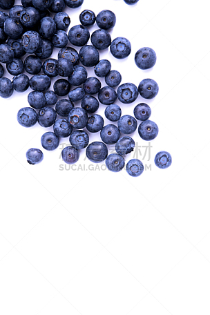 蓝莓,分离着色,视角,顶部,蓝莓植物,蔬菜,健康保健,配方,清新,营养品