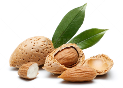 杏树类,坚果,分离着色,杏仁,去皮的食物,豆荚,去皮的,干花,豆腐,果皮