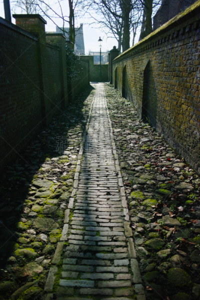 苔藓,古典式,绿色,砖,围墙,红色,特写,北村韩屋村,红专海星