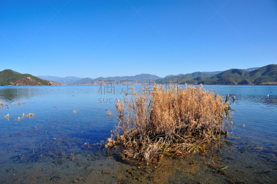 泸沽湖,云南省,水,天空,水平画幅,无人,夏天,户外,湖,草