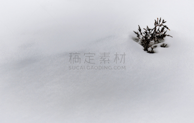 雪,新生活,毕底,喜马偕尔邦,路边,深雪,水平画幅,无人,喜马拉雅山脉,户外