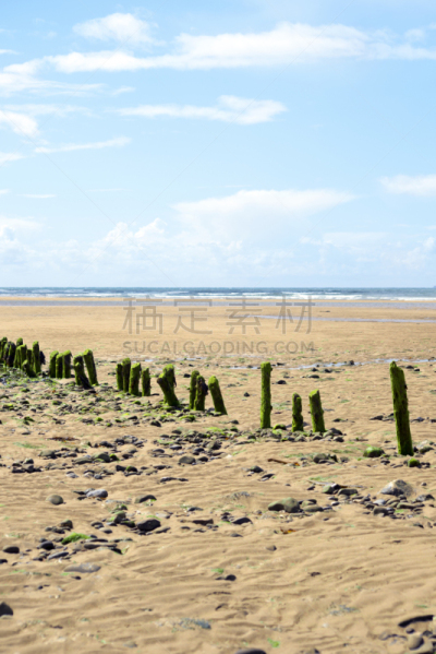 绿色,波浪,巴利巴宁,戈尔韦,海藻灰,防波堤,泥泞的,垂直画幅,水,天空